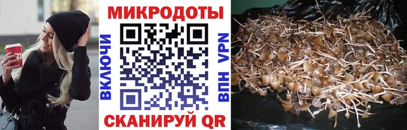 Псилоцибиновые грибы ЛСД  купить наркотик  Лабинск 